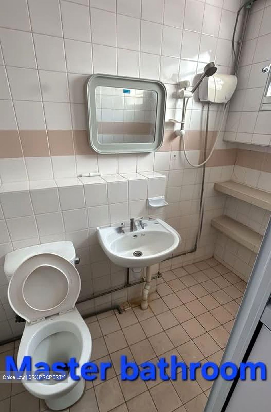 Blk 856 Jurong West Street 81 (Jurong West), HDB 5 Rooms #558605921